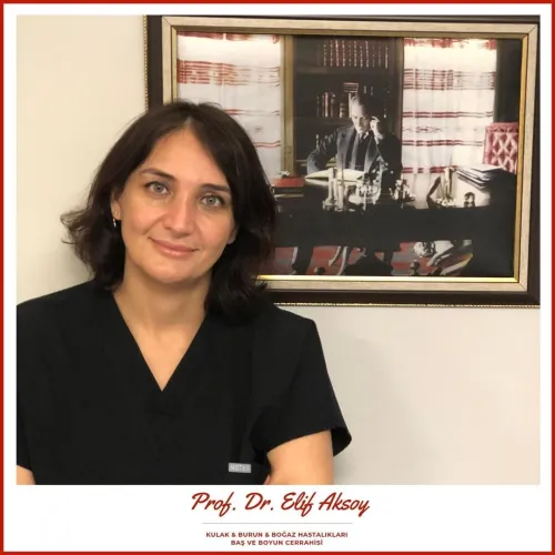 Prof. Dr. Elif Aksoy fotoğrafı