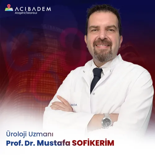Prof. Dr. Mustafa Sofikerim fotoğrafı